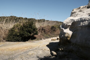 Tor Caldara Regional Nature Reserve, on the Lazio coast, near Anzio and Lavinio