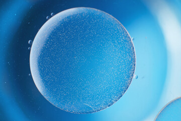 abstract light blue background with oil circles . bubbles of water close up .