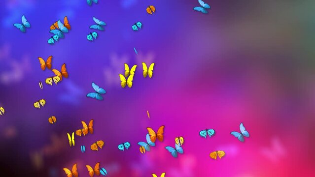 Flying butterflies. Colorful butterfly loop green screen background. Spring and summer insects. for wedding, birthday, holiday, Valentine and other special, music, magic, kid, art or business