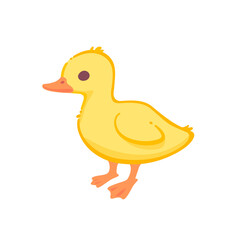 Cute duckling. Contour vector illustration.