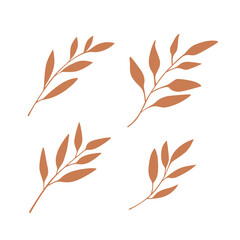 Set of different branches with leaves. Flat vector illustration.