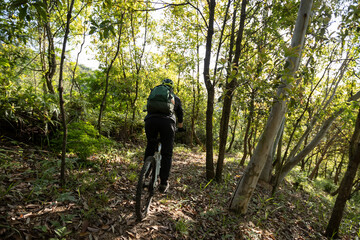 Mountain biking on spring forest trail