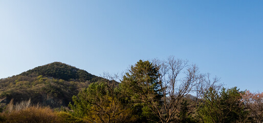Obraz premium A view of the opposite mountain from the park. clear sky