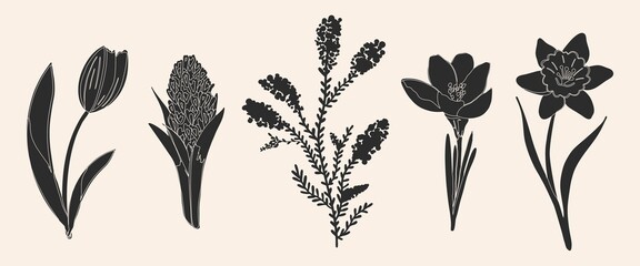Vector black and white illustration. Set of spring flowers. Hand drawing, cartoon. Narcissus, hyacinth, mimosa, crocus, tulip.