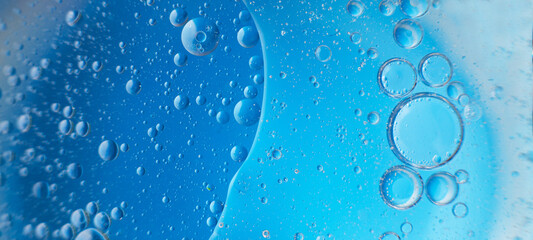 abstract light blue background with oil circles . bubbles of water close up . banner