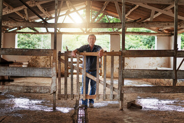 This farm is my pride and joy. Full length portrait of a mature farmer standing in the barn on his farm.