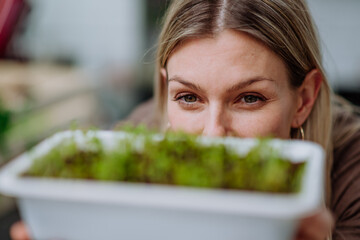 Woman holding pot with cress growing from seed at home.