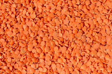 Red lentil