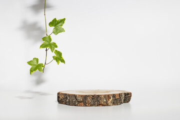 Round wooden cylinder shape display with plant leaf and shadows. Minimal geometric podium for eco...