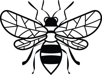 Bee Vector Illustration