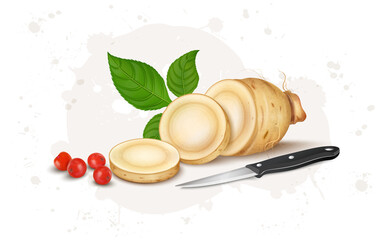 A chopped Ginseng root vector illustration with root slices, seeds and green leaves 