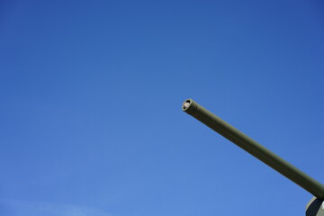 Spatz im Rohr eines Panzers am Sowjetischen Ehrenmal am Tiergarten in Berlin 