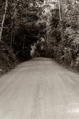 Obraz premium estrada