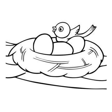 recommend clip art: Kids coloring page of cute bird in the nest. Isolated illustration outline drawing cartoon animals. Vector printable clipart.