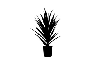 Plant silhouette 