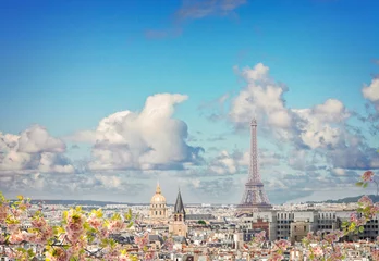 Zelfklevend Fotobehang skyline of Paris with eiffel tower © neirfy
