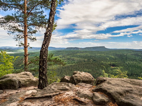 Katzstein in der S&auml;chsischen Schweiz - Aussicht Richtung Zschirnsteine