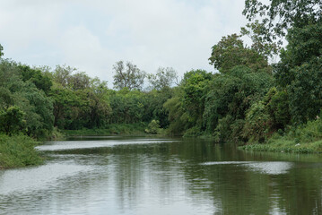 river view  landscape in green water lake.