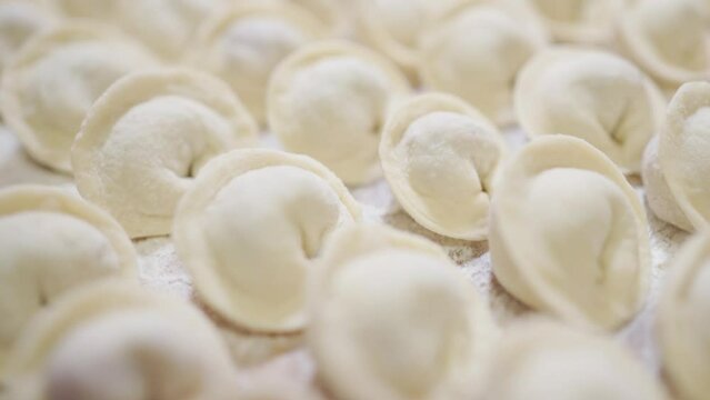 national Russian dish. dumplings close-up stacked in even rows. raw dumplings