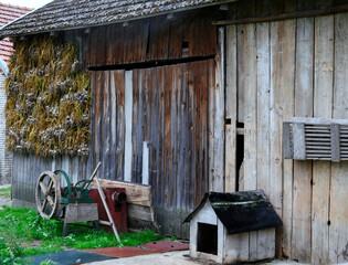 Na zapleczu wiejskiego gospodarstwa © JDziedzic