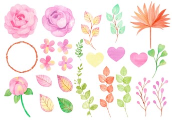 Set of flowers and leaves delicate rose 