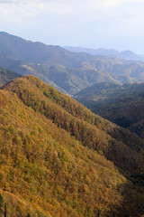 autumn landscape in the mountains