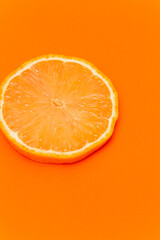 Fototapeta na wymiar Fresh Citrus Fruit. Lemon, Orange, Mandarin, Grapefruit on Solid White Colored Background.