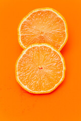 Fresh Citrus Fruit. Lemon, Orange, Mandarin, Grapefruit on Solid White Colored Background.