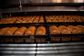 loaves of bread in a bakery on an automated conveyor..Bakery products
