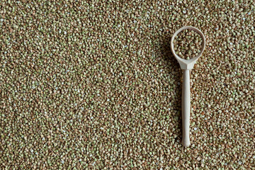 Green buckwheat in wooden spoon on natural food background from cereals. Top view, copy space
