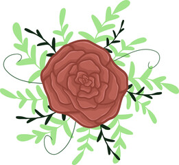 illustration of a rose flower