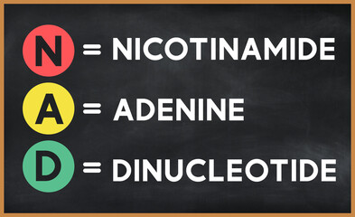 nicotinamide adenine dinucleotide (nad) on chalk board - obrazy, fototapety, plakaty