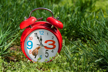 Snail and red alarm clock on grass background