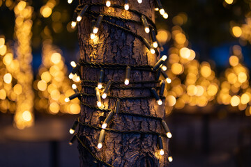Fototapeta na wymiar Closeup of a Tree Wrapped in Gold Christmas Lights in New York City during the Night