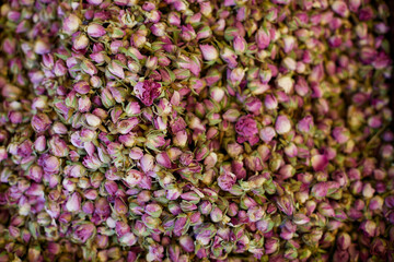 Dried pink rosebuds background texture. Dry rose flower buds for sale at market