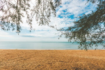 Sand beach at sea or ocean island with blue sky and white clouds. and pine tree leaf.