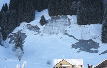 Fototapeta premium Avalanche ripped away on a slope in winter in Switzerland. 