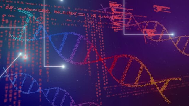 Animation of dna strands and data processing over purple background