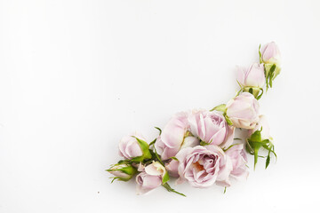Framework from roses and petals on white background. Flat lay.