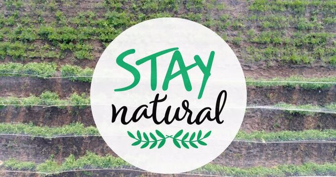 Animation of stay natural text over field