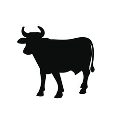 black and white bull