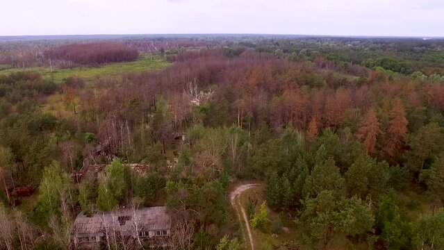 Aerial view of an abandoned building in the radioactive red forest of Chernobyl