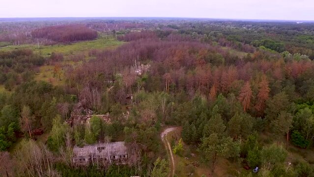 Aerial view. Abandoned buildings in the radioactive red forest of Chernobyl
