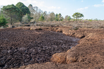 Irish peat bog in Ireland, Europe A bog or bogland is a wetland that accumulates peat as a deposit of dead plant materials