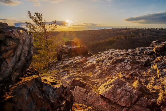 Sunset in the Sarka valley in Prague. Most of the valley is protected as the Sarka Nature Park. Some localities are declared nature reserves and natural monuments