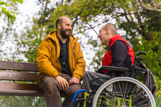 A person with a disability young man in a wheelchair with a friend on a bench in a public park in the city, talking and laughing