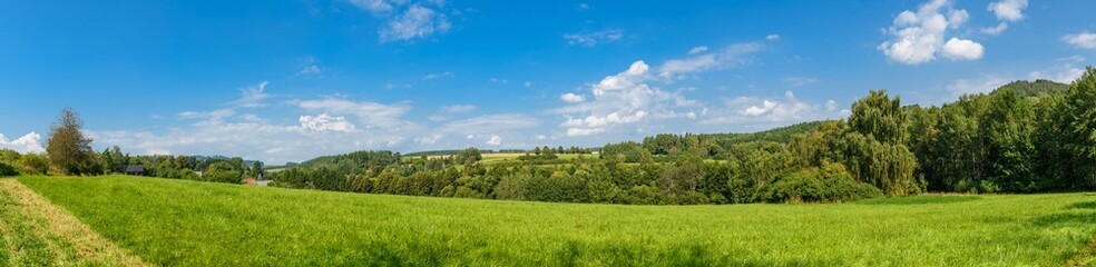 panorama landscape with meadow and forest