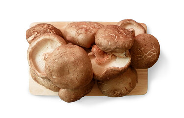 brown shiitake mushrooms white background