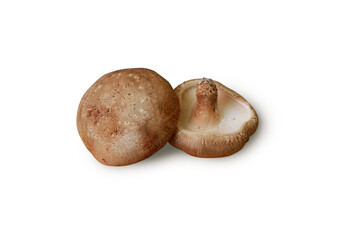 2 shiitake mushrooms white background