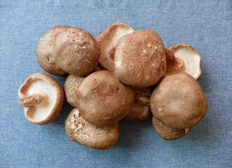 Shiitake mushrooms on linen cloth